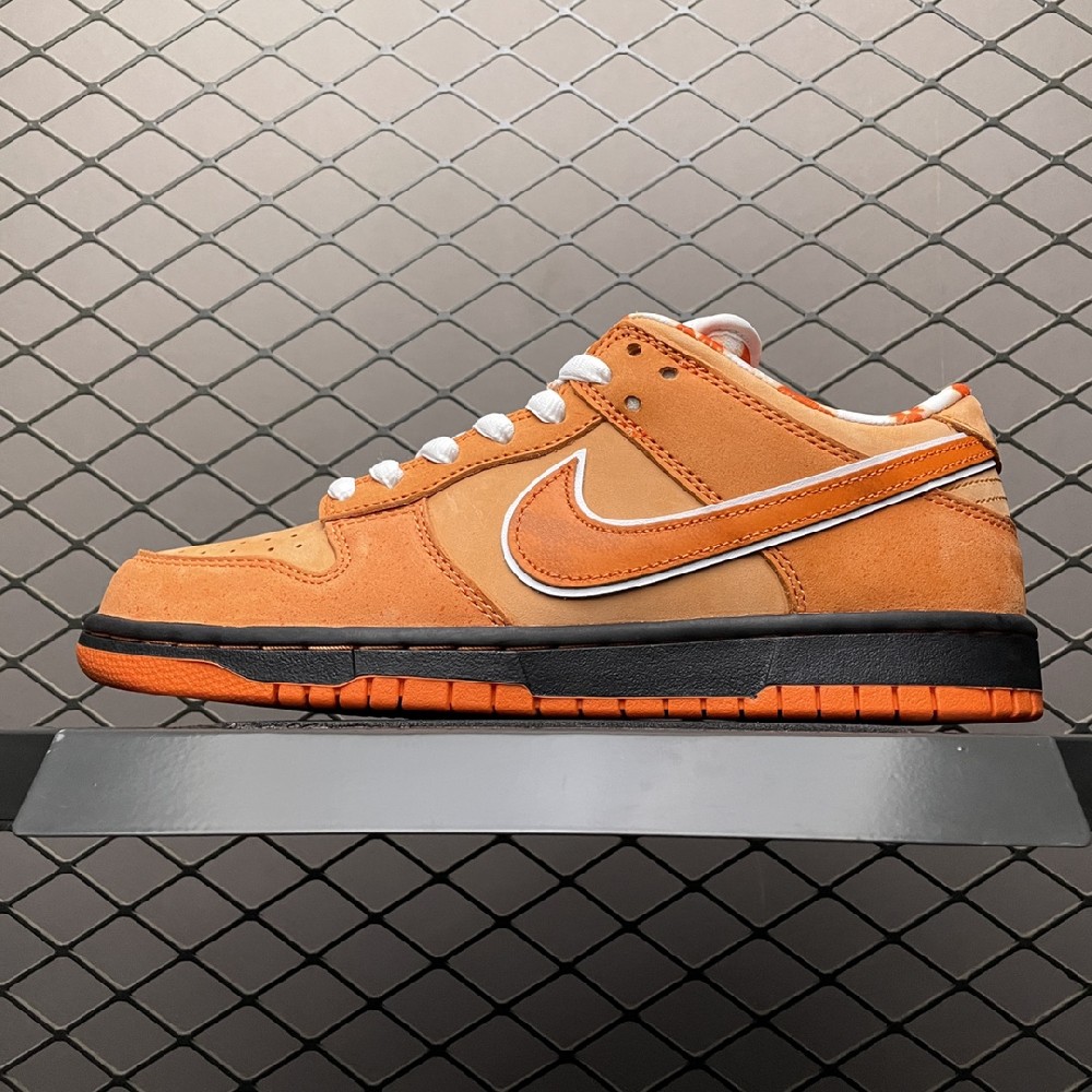 Concepts x NK Dunk Low 