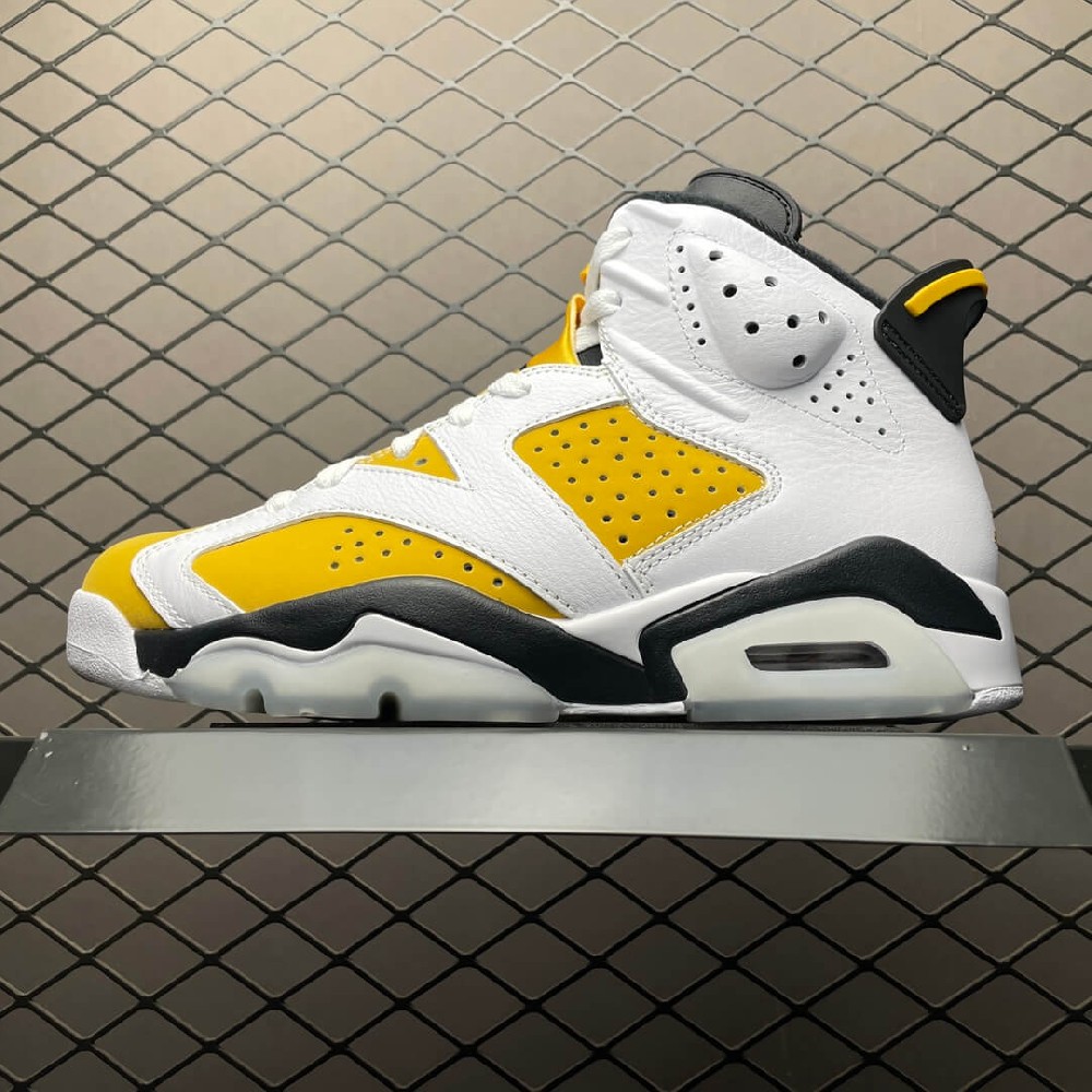 Nike Air Jordan AJ6 Retro 